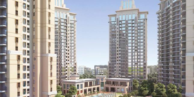 Caladium Gurgaon